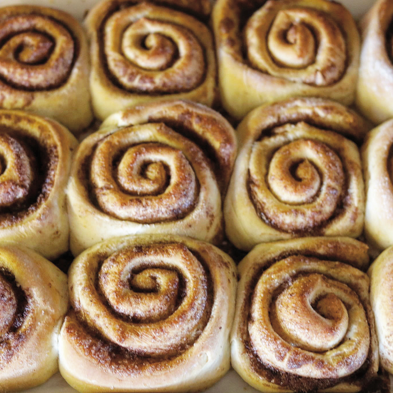 Best Cinnamon Rolls Ever!